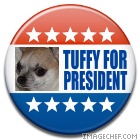 tuffy-for-president.jpg